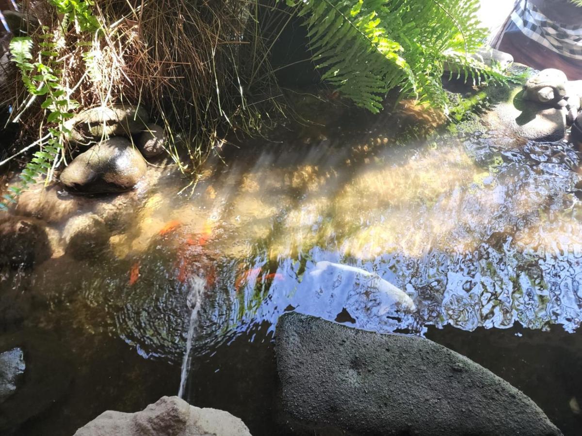 Mai Malu Pulukan Exterior foto